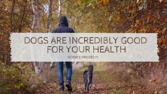 Dogs Are Good For Your Health