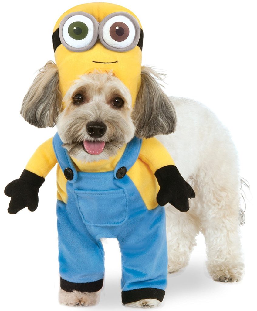 minion bob dog costume