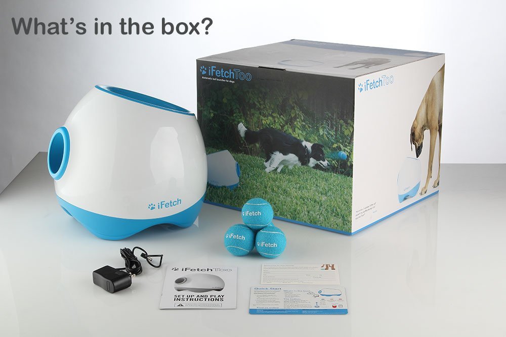 iFetch gift for dog owners