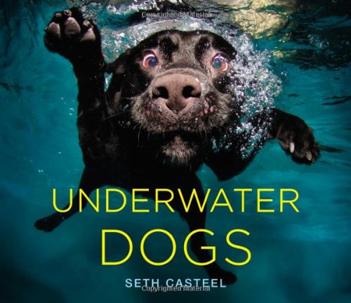 underwater dogs - gifts for dog lovers