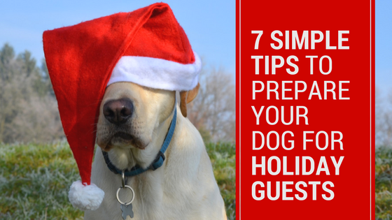 prepare your dog for holiday guests (1)