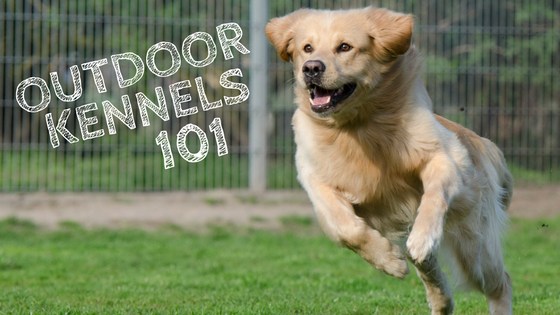 Outdoor Kennels 101