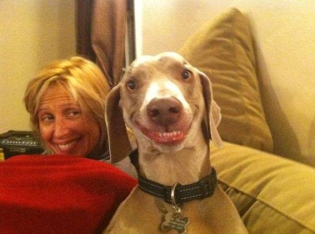 Hilarious Dog owner lookalike