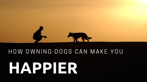 owning dogs can make you happier